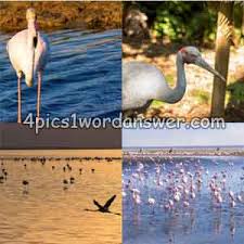 You can find the answer for 4 pics 1 word daily bonus puzzle july. 4 Pics 1 Word Daily Puzzle June 8 2019 Answer Thenewscrunch