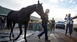 Derby winner medina spirit tested positive for betamethasone. Yx0dnphvqzay6m