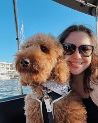 Healing Hearts has made an official pick of blue collar male from Louise's  Lemons! 🍋 Healing Hearts has officially chosen the name Merlin. He will be  gifted as a puppy this month