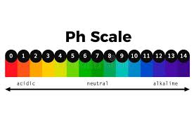 ph scale vector chart stock vector illustration of scale