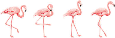 Maybe you would like to learn more about one of these? Pink Flamingo Bird Set Window Sticker Tenstickers