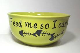 This Item Is Unavailable Cat Food Bowl Funny Cat Gifts Cat Dishes