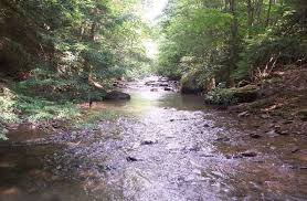Summer in west virginia brings about days of exploring, nights spent up with friends and memories that will last until the end. State Parks In West Virginia Best Campgrounds Hipcamp