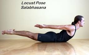 Locust Pose Yoga For Men Yoga Poses Yoga