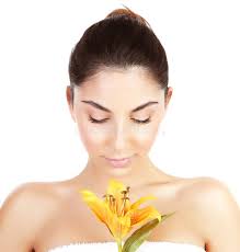 148 Closed Lilly Stock Photos