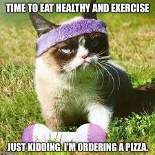 Grumpy Cat Didn T Make Any New Year Resolution S Lol Funny Grumpy Cat Memes Grumpy Cat Humor Cat Quotes Funny