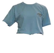 Pin By Kaysie Everland On ˢᵗʸˡᵉ T Shirt Png Aesthetic Shirts Shirts