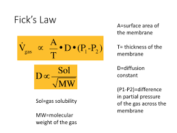 Image result for Diffusing Capacity