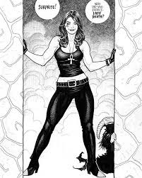 Pin By Al Adin On Hero Womans Singapore Art Sandman Star Wars Art