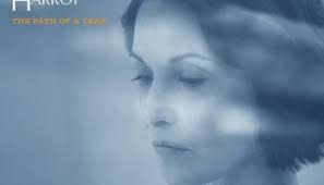 Terry Klein IS Making A Scene!