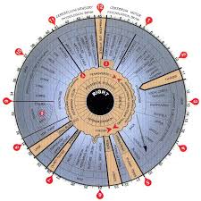 Iridology Chart How To Read The Iris Of An Eye Laminated