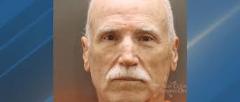 70-year-old man hit counter-protester with vehicle at Idaho Tesla rally,  police say