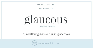 Word Of The Day Glaucous Words Word Of The Day Cool Words