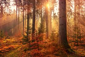 Autumn Landscape Pictures | Download ...