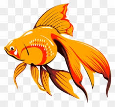 Download clker's rainbow fish clip art and related images now. Fish Outline Drawing Goldfish Drawing Gallery Tropical Golden Fish Clipart Free Transparent Png Clipart Images Download