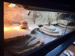 Diy Reptile Background Made With Styrofoam Expanding Foam And Grout Bearded Dragon Diy Reptile Diy Bearded Dragon Enclosure