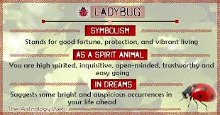 Black And Red Ladybug Meaning Spirit Animal Ladybird Ladybug Meaning Animal Totem Spirit Guides Spirit Animal Meaning