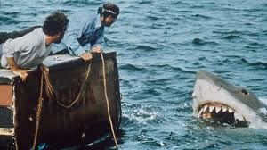 Steven Spielberg Regrets Impact 'Jaws' Had on Shark Population