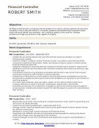 Karen has a long track record of successfully establishing and maintaining a company's accounting principles, practices, procedures, and initiatives. Pin On Finance Resumes