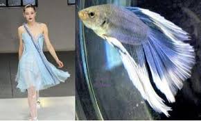 Fish Inspired Fashion Fish Fashion Fish Dress Nature Inspiration