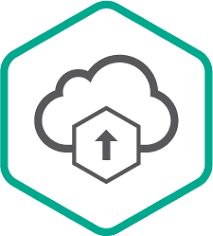 Managed Service Provider Partnership Msp Kaspersky