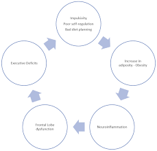 Nutrients Free Full Text Cognitive Training Therapy Improves The Effect Of Hypocaloric Treatment On Subjects With Overweight Obesity A Randomised Clinical Trial Html