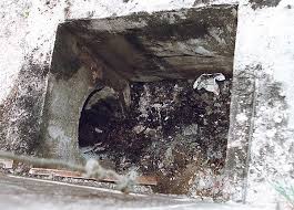 Nurin39s post mortem photos were leaked to the public via email circulations by. 9 Most Brutal Murder Story Of Malaysia