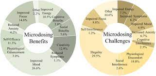 Psychedelic Microdosing Benefits And Challenges An Empirical Codebook Springerlink