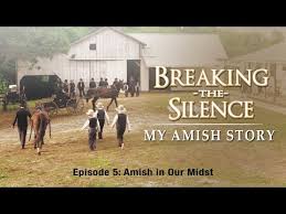 25 years experience licensed and insured builder. Amish Contractors Near Me Jobs Ecityworks