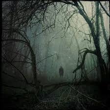 This Would Definitely Creep Me Out If I Were Alone In The Woods And I M Six Foot Six And 240 Pounds Not A Little Guy But See Dark Photography Scenery Eerie