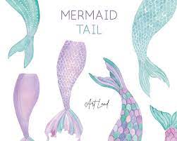 All mermaid clip art are png format and transparent background. Watercolor Mermaid Tail Hand Painted Watercolour Digital Etsy In 2021 Watercolor Mermaid Mermaid Tail Art Mermaid Tail