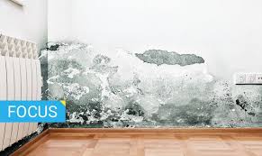 Il deumidificatore crea all'interno dell'ambiente in cui è posto, se correttamente impostato, il corretto microclima. Come Eliminare La Muffa E Prevenirne La Ricomparsa