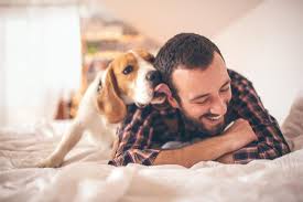 Dec 08, 2020 · providing a healthy environment 1. Love Hormone Explains Why Your Dog Loves To See You Smile