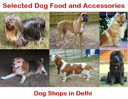 Maybe you would like to learn more about one of these? Dog Stores Near Me Off 55