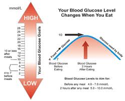 76 Expository Blood Sugar Level After Eating Chart