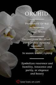 Someone who is trained in psychology: White Orchid Meaning White Orchids Symbolize Reverence Humility Innocence Purity Or Elegance Beauty Maki Orchid Meaning Flower Meanings Funeral Flowers