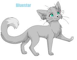 Maybe you would like to learn more about one of these? Bluestar Forever Warriors Katzen Fan Art 32829067 Fanpop