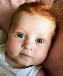 Pin By Fulya On Kinali Sacli Cocuklar Ginger Babies Cute Baby Photos Beautiful Babies