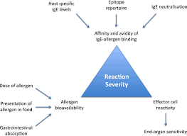 Maybe you would like to learn more about one of these? Can We Identify Patients At Risk Of Life Threatening Allergic Reactions To Food Turner 2016 Allergy Wiley Online Library