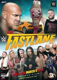 Wwe Fastlane 2017 Wwe Wwe Ppv Brie Bella Wwe