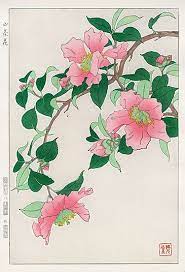 shodo kawarazaki spring flower woodblock prints 日本の花 アートプリント 花 水彩画