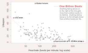 Animal Heart Rate Chart 2019