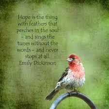 Cardinals, in the family cardinalidae, are passerine birds found in north and south america. Cardinal Love Birds Quotes Quotesgram