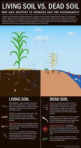 This Is Why I Grow My Own Food The Nutrition In The Soil That Grows The Food Supply Is Depleted Composted Soil Gartenerde Garten Pflanzen Biologischer Anbau