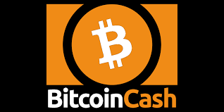 What percentage of your monthly expenditures, to include everything, do you pay using bitcoin? What Is Bitcoin Cash A Beginner S Guide Unhashed