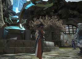 Dungeons > heavensward the aery: Aster Seule Blog Entry Orthodox Hat And Coat Of Striking Final Fantasy Xiv The Lodestone