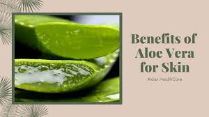 Can We Apply Aloe Vera On Face Daily Archives Aldan Healthcare Healthcare With Care These will help to cool down the face, relax and also treat skin issues and.