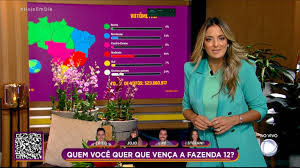 Vote e decida quem deve continuar no programa. Votometro Mostra A Distribuicao Dos Votos Na Final De A Fazenda 12 A Fazenda R7 A Fazenda 12