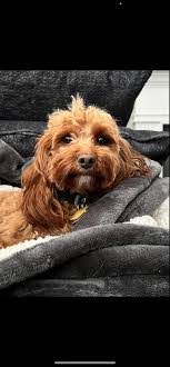 Eric Vangorder's Instagram, Twitter & Facebook