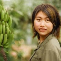 10+ "Weilin" profiles